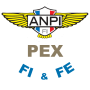 ANPI logo FI FE-01